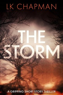 Cover The Storm (eBook, ePUB)