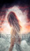 Entangled (Cantwell Quartet, #4) (eBook, ePUB) Entangled (Cantwell Quartet, #4) (eBook, ePUB)