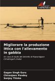 Migliorare la produzione ittica con l'allevamento in gabbia Migliorare la produzione ittica con l'allevamento in gabbia