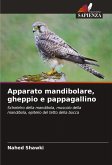 Apparato mandibolare, gheppio e pappagallino