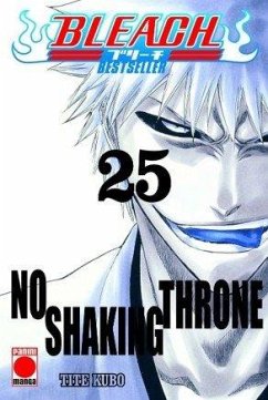 Cover Bleach Bestseller 25
