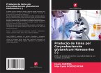 Produção de lisina por Corynebacteruim glutamicum Homoserina (-)