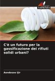 C'è un futuro per la gassificazione dei rifiuti solidi urbani?