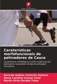 Caraterísticas morfofuncionais de patinadores de Cauca Caraterísticas morfofuncionais de patinadores de Cauca