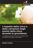 L'impatto dello zinco e delle variazioni degli enzimi dello zinco durante la gravidanza
