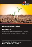 Recupero delle aree degradate