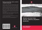 História da Areia Preta: Ciência, Indústria e Equilíbrio Ambiental