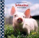 Geschenkbuch Schweine Geschenkbuch Schweine