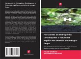 Horizontes do Hidrogénio: Desbloquear o futuro da Argélia em matéria de energia limpa Horizontes do Hidrogénio: Desbloquear o futuro da Argélia em matéria de energia limpa