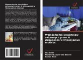 Wzmocnienie sk¿adników aktywnych przez A. rhizogenes w Hyoscyamus muticus