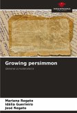 Growing persimmon