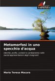 Metamorfosi in uno specchio d'acqua