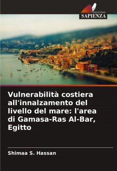 Cover Vulnerabilità costiera all'innalzamento del livello del mare: l'area di Gamasa-Ras Al-Bar, Egitto