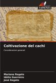 Coltivazione del cachi