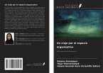 Un viaje por el espacio organizativo