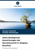 Sozio-ökologische Auswirkungen der Garnelenzucht in Alagoas, Brasilien Sozio-ökologische Auswirkungen der Garnelenzucht in Alagoas, Brasilien