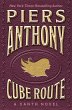 Cube Route (eBook, ePUB) - Bild 1