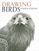 Drawing Birds (eBook, ePUB)