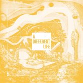 A Different Life (Gatefold) A Different Life (Gatefold)