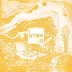 A Different Life (Gatefold) - Catt