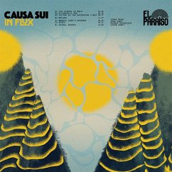 Cover In Flux (2x10