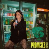 Promises Promises