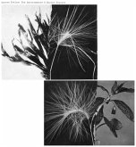 New Environments & Rhythm Studies New Environments & Rhythm Studies