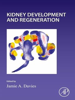 Cover Kidney Development and Regeneration (eBook, ePUB)