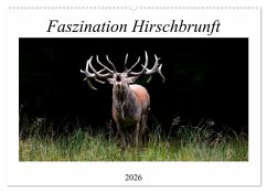 Cover Faszination Hirschbrunft (Wandkalender 2026 DIN A2 quer), CALVENDO Monatskalender