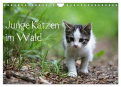 Cover Junge Katzen im Wald (Wandkalender 2026 DIN A4 quer), CALVENDO Monatskalender