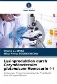 Lysinproduktion durch Corynébacteruim glutamicum Homoserin (-)