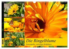 Die Ringelblume. Sonnengelbe, vielseitige Heilpflanze (Wandkalender 2026 DIN A3 quer), CALVENDO Monatskalender