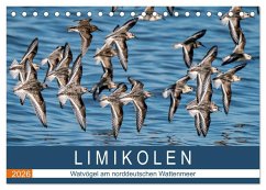 Limikolen - Watvögel am norddeutschen Wattenmeer (Tischkalender 2026 DIN A5 quer), CALVENDO Monatskalender