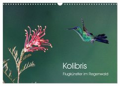 Kolibris - Flugkünstler im Regenwald (Wandkalender 2026 DIN A3 quer), CALVENDO Monatskalender