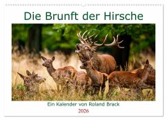 Die Brunft der Hirsche (Wandkalender 2026 DIN A2 quer), CALVENDO Monatskalender Die Brunft der Hirsche (Wandkalender 2026 DIN A2 quer), CALVENDO Monatskalender