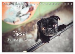 Diesel - ein mopsiges Leben (Tischkalender 2026 DIN A5 quer), CALVENDO Monatskalender