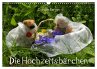 Die Hochzeitsbärchen (Wandkalender... - Bild 1