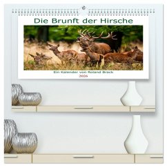 Die Brunft der Hirsche (hochwertiger Premium Wandkalender 2026 DIN A2 quer), Kunstdruck in Hochglanz Die Brunft der Hirsche (hochwertiger Premium Wandkalender 2026 DIN A2 quer), Kunstdruck in Hochglanz
