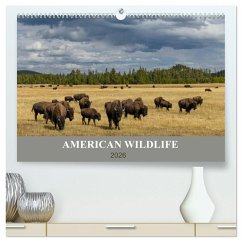American Wildlife (hochwertiger Premium Wandkalender 2026 DIN A2 quer), Kunstdruck in Hochglanz American Wildlife (hochwertiger Premium Wandkalender 2026 DIN A2 quer), Kunstdruck in Hochglanz