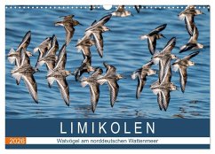 Cover Limikolen - Watvögel am norddeutschen Wattenmeer (Wandkalender 2026 DIN A3 quer), CALVENDO Monatskalender
