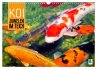 Koi: Juwelen im Teich (Wandkalender... - Bild 1
