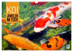 Koi: Juwelen im Teich (Wandkalender 2026 DIN A3 quer), CALVENDO Monatskalender