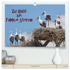 Zu Gast bei Familie Storch (hochwertiger Premium Wandkalender 2026 DIN A2 quer), Kunstdruck in Hochglanz Zu Gast bei Familie Storch (hochwertiger Premium Wandkalender 2026 DIN A2 quer), Kunstdruck in Hochglanz