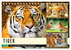 Cover Tiger. Die schönsten Katzen der Erde (Tischkalender 2026 DIN A5 quer), CALVENDO Monatskalender
