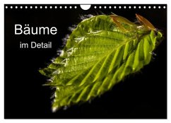 Cover Bäume im Detail (Wandkalender 2026 DIN A4 quer), CALVENDO Monatskalender