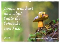 Cover Junge, was hast du`s eilig (Wandkalender 2026 DIN A2 quer), CALVENDO Monatskalender