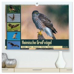 Heimische GREIFVÖGEL Adler Milan Bussard Weihe Sperber (hochwertiger Premium Wandkalender 2026 DIN A2 quer), Kunstdruck in Hochglanz