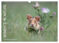 Moments in Nature (Wandkalender 2026 DIN A3 quer), CALVENDO Monatskalender