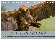 Cover Der Schreiadler (Clanga pomarina) - Deutschands kleinster und stark gefährdeter Adler. (Wandkalender 2026 DIN A4 quer), CALVENDO Monatskalender