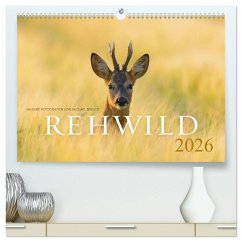 Cover Rehwild 2026 (hochwertiger Premium Wandkalender 2026 DIN A2 quer), Kunstdruck in Hochglanz